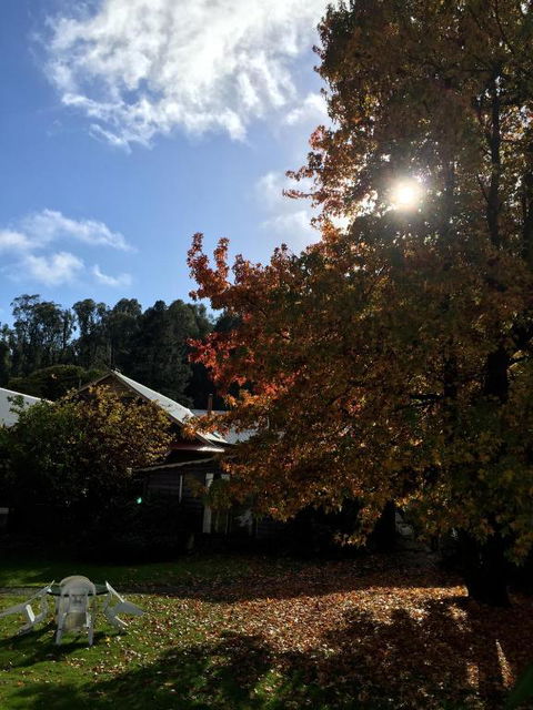 Crossways Country Inn - Great Ocean Road Tourism 1