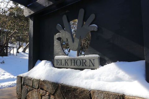 Elkhorn 11 - Great Ocean Road Tourism 1