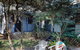 Pet Friendly Bennetts Beach Cottage - thumb 5