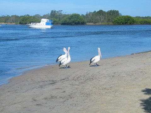 Just 4 Fun - Great Ocean Road Tourism 5