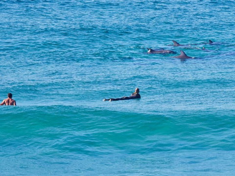 Beach Front Bliss - Great Ocean Road Tourism 3