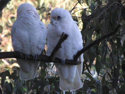 Green Point Lakehouse - Great Ocean Road Tourism 6