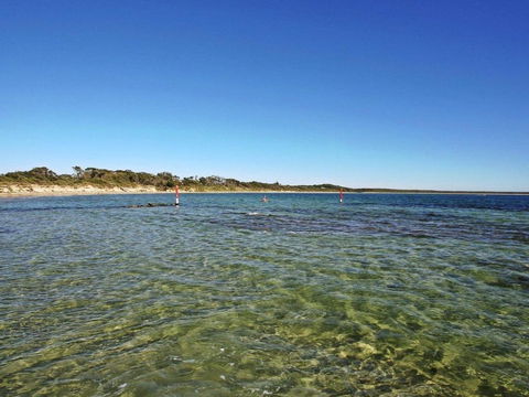 Seahorse Beach Just 550m From House - Great Ocean Road Tourism 1