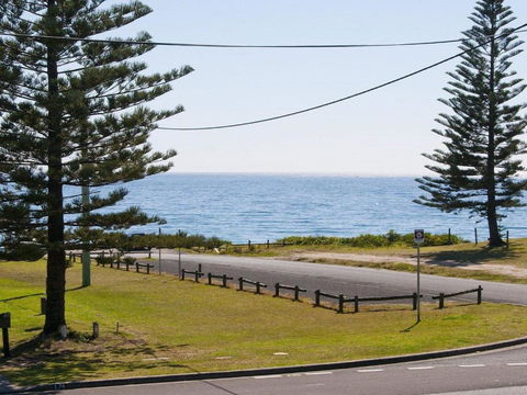 The Penguins Head Across From The Beach - Great Ocean Road Tourism 4
