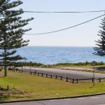 The Penguins Head Across From The Beach - Great Ocean Road Tourism 0