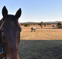 Clydesdale Cottage on Talga with real Clydesdale Horses - Great Ocean Road Tourism