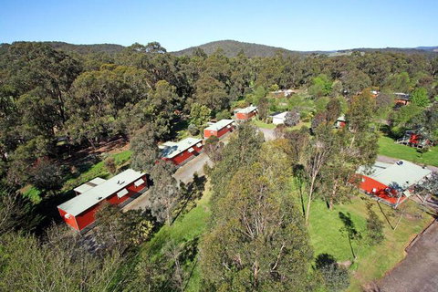 Otways Tourist Park - Great Ocean Road Tourism 4