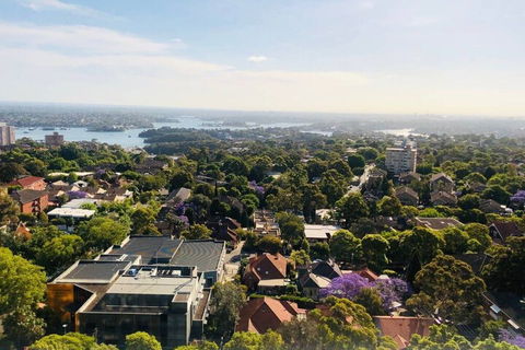 1bed 1study Apt With City View &new Year Firework - Great Ocean Road Tourism 3