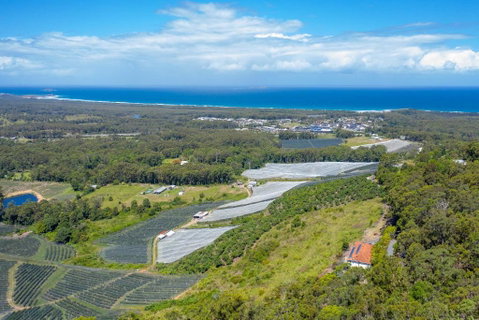 Eagles Loft - Great Ocean Road Tourism 6