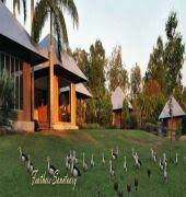 Feathers Sanctuary - Great Ocean Road Tourism 6