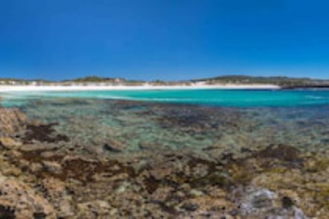 Hanson Bay Wildlife Sanctuary And Cabins - Great Ocean Road Tourism 0