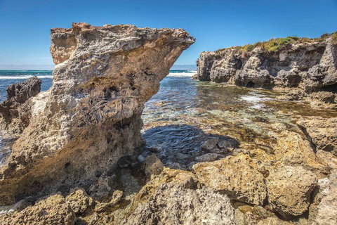 Hanson Bay Wildlife Sanctuary And Cabins - Great Ocean Road Tourism 2