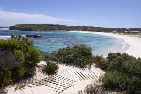 Hanson Bay Wildlife Sanctuary And Cabins - Great Ocean Road Tourism 1