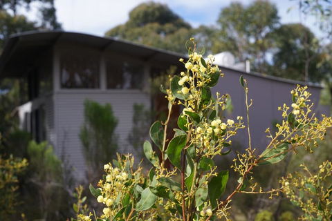 Ridgetop Retreats Deep Creek Conservation Park - Great Ocean Road Tourism 2