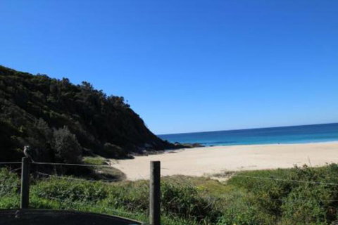 Mimosa - Great Ocean Road Tourism 0