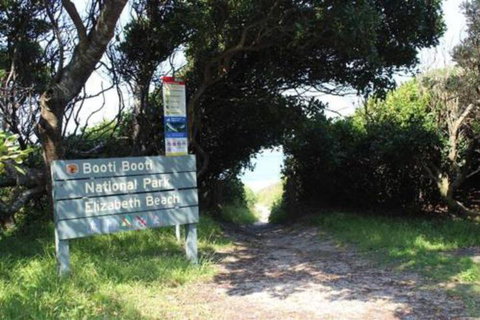 Mimosa - Great Ocean Road Tourism 3