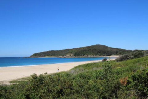Mimosa - Great Ocean Road Tourism 4