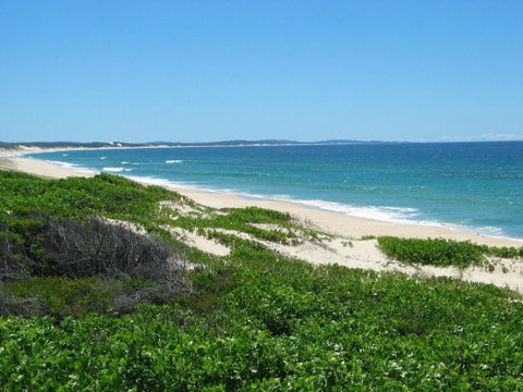 Pet Friendly On Pelican Close To Myall River - Great Ocean Road Tourism 3