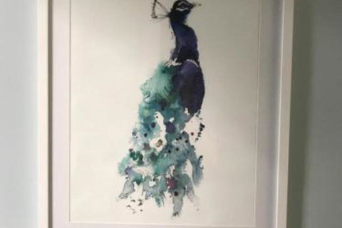 Blue Jay - Great Ocean Road Tourism 5