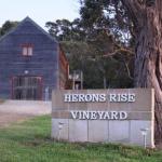 Herons Rise Vineyard Accommodation - Great Ocean Road Tourism 0