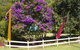 Koompartoo Homestead Cabin - thumb 1