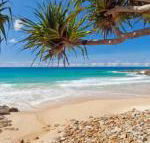 Coolum Classic Beach Shack Pet Friendly - Great Ocean Road Tourism