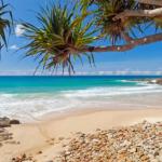 Coolum Classic Beach Shack Pet Friendly - Great Ocean Road Tourism 0