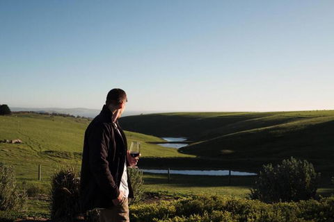 Coastal Lodge - Great Ocean Road Tourism 3