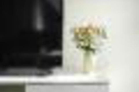 TWIG CBD Water Views - Great Ocean Road Tourism 6