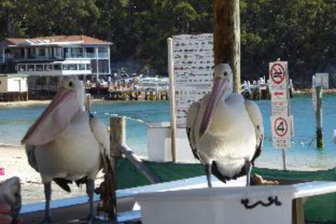 2 Bedroom Apartment Portside Unit 12 / 1 Donald Street FREE WIFI - Great Ocean Road Tourism 2