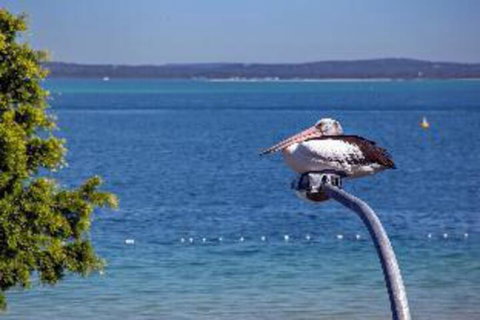 2 Bedroom Apartment Little Hut Unit 3 20 Kurrawa Close - Great Ocean Road Tourism 2
