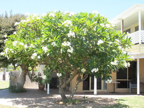 Kalbarri Riverfront Unit - Great Ocean Road Tourism 3