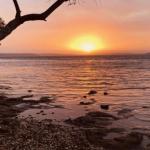 Paradise Beach Apartments - Great Ocean Road Tourism 0