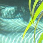 Bli Bli QLD Great Ocean Road Tourism