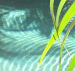 Artizen - Great Ocean Road Tourism