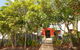Unit 4 Beaumont Sur Mer 13 15 Pacific Terrace Coolum Beach 400 BOND LINEN SUPPLIED - thumb 3
