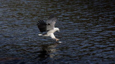 Arthur Riverfront & Sea Lodge Upstream - Great Ocean Road Tourism 1