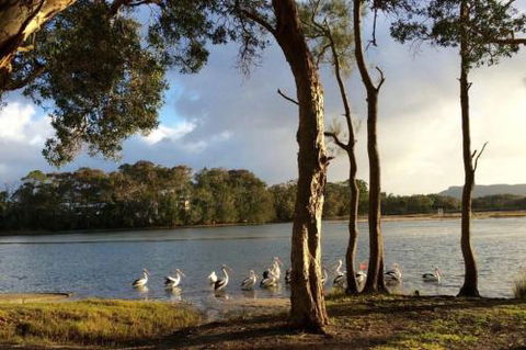 Lakehouse On Oxley - Great Ocean Road Tourism 2