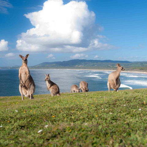 FAMILY ISLAND GETAWAY BEACHFRONT APARTMENT - Great Ocean Road Tourism 4