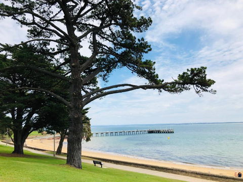 FAMILY ISLAND GETAWAY BEACHFRONT APARTMENT - Great Ocean Road Tourism 3