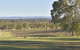 Sandalyn Estate Hunter Valley - thumb 3