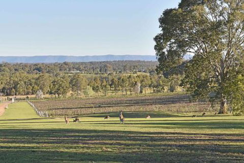 Sandalyn Estate Hunter Valley - Great Ocean Road Tourism 3