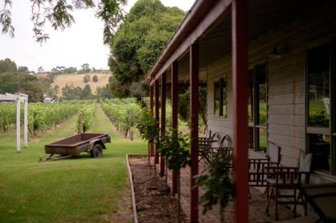 Fergusson Winery Homestead Accomodation - Great Ocean Road Tourism 2