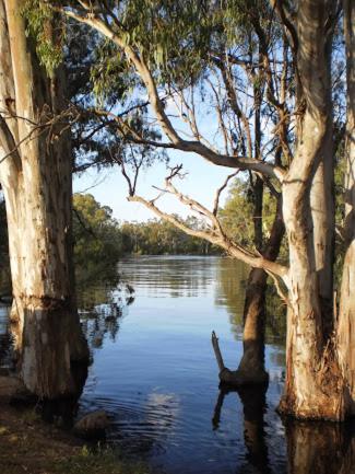 Barham Riverland Motel - Great Ocean Road Tourism 1