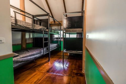Jackaroo Treehouse Mission Beach - Great Ocean Road Tourism 0