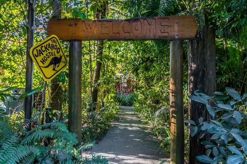 Jackaroo Treehouse Mission Beach - Great Ocean Road Tourism 1