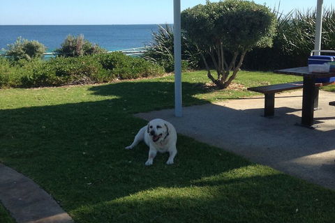 Safety Bay Guest House - Great Ocean Road Tourism 6