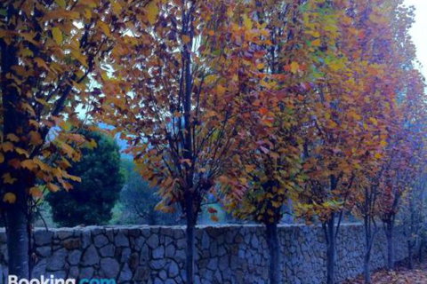 Birches Luxury Spa Chalets - Great Ocean Road Tourism 5