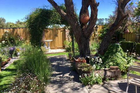 Aggies Bed & Breakfast - Great Ocean Road Tourism 5