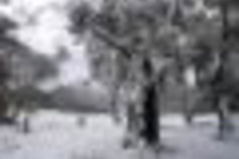 Twin Seasons 5 Deluxe Holiday Apartment - Great Ocean Road Tourism 4